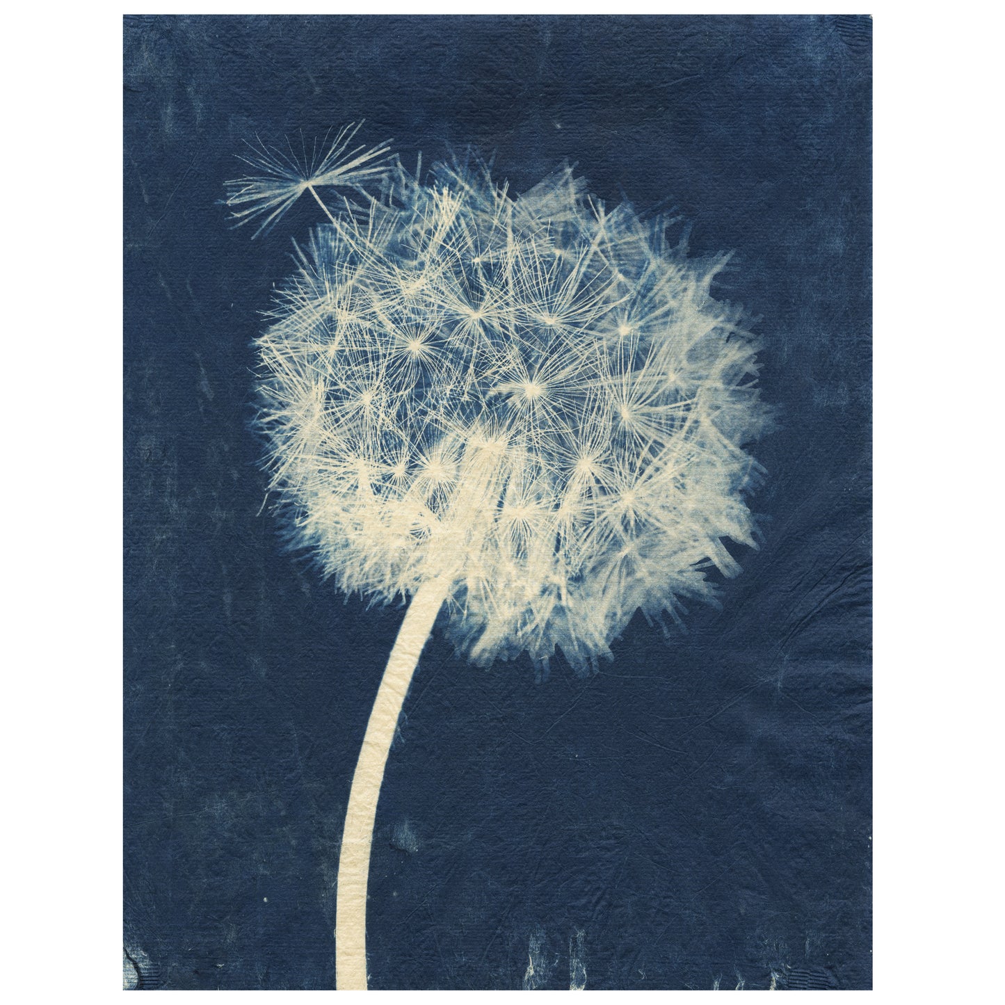 Sally Ayre - Laughter in the Breeze #17