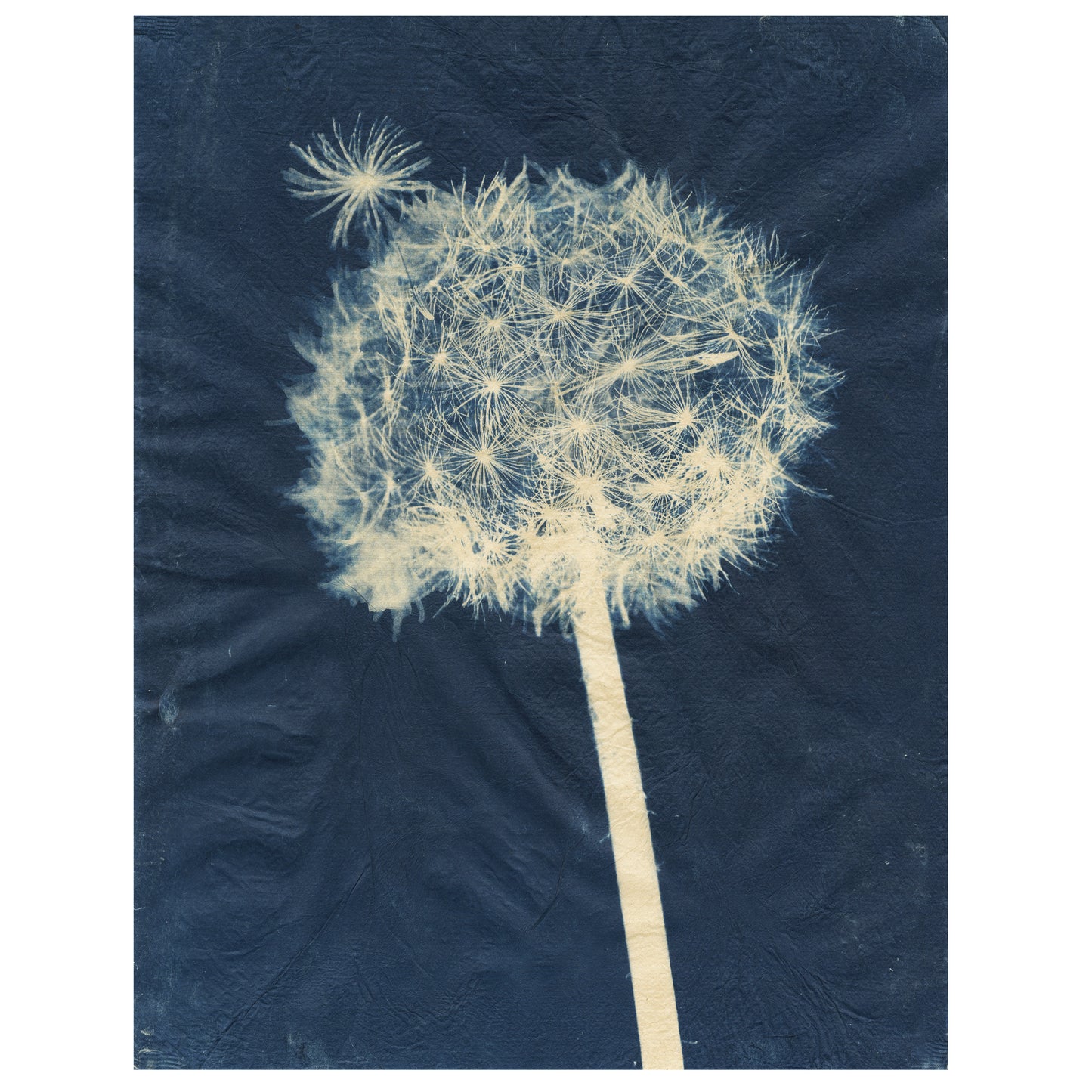 Sally Ayre - Laughter in the Breeze #20