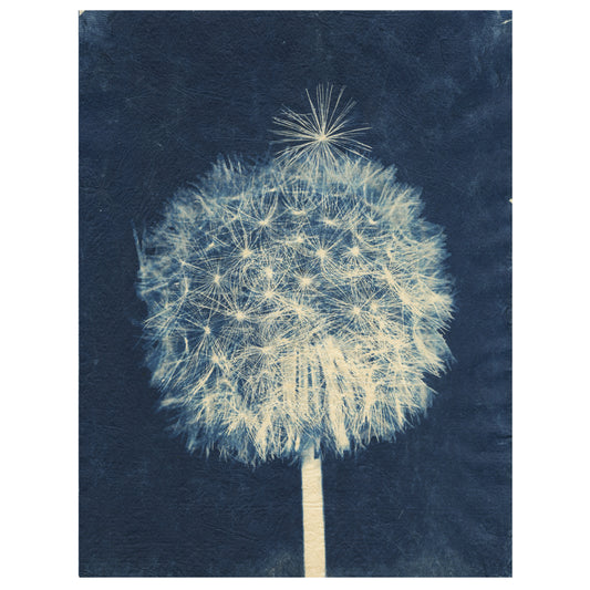 Sally Ayre, Laughter in the Breeze #22