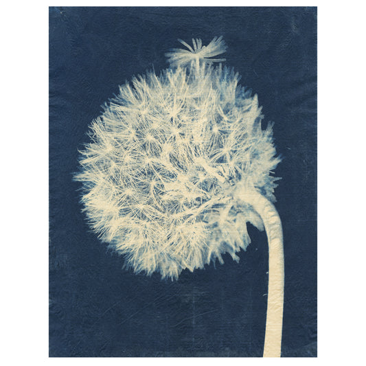 Sally Ayre, Laughter in the Breeze #28
