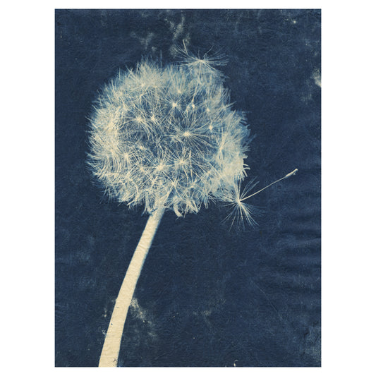 Sally Ayre - Laughter in the Breeze #29