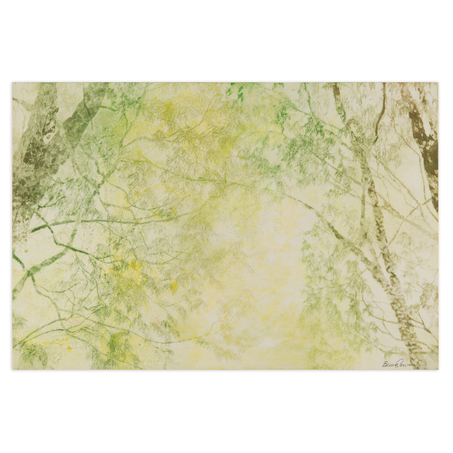 Rebecca Cowan, June Forest