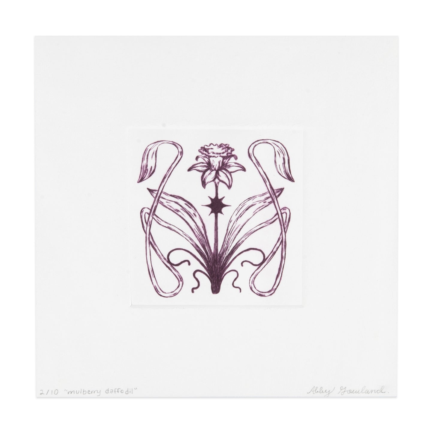 Abby Gowland - mulberry daffodil
