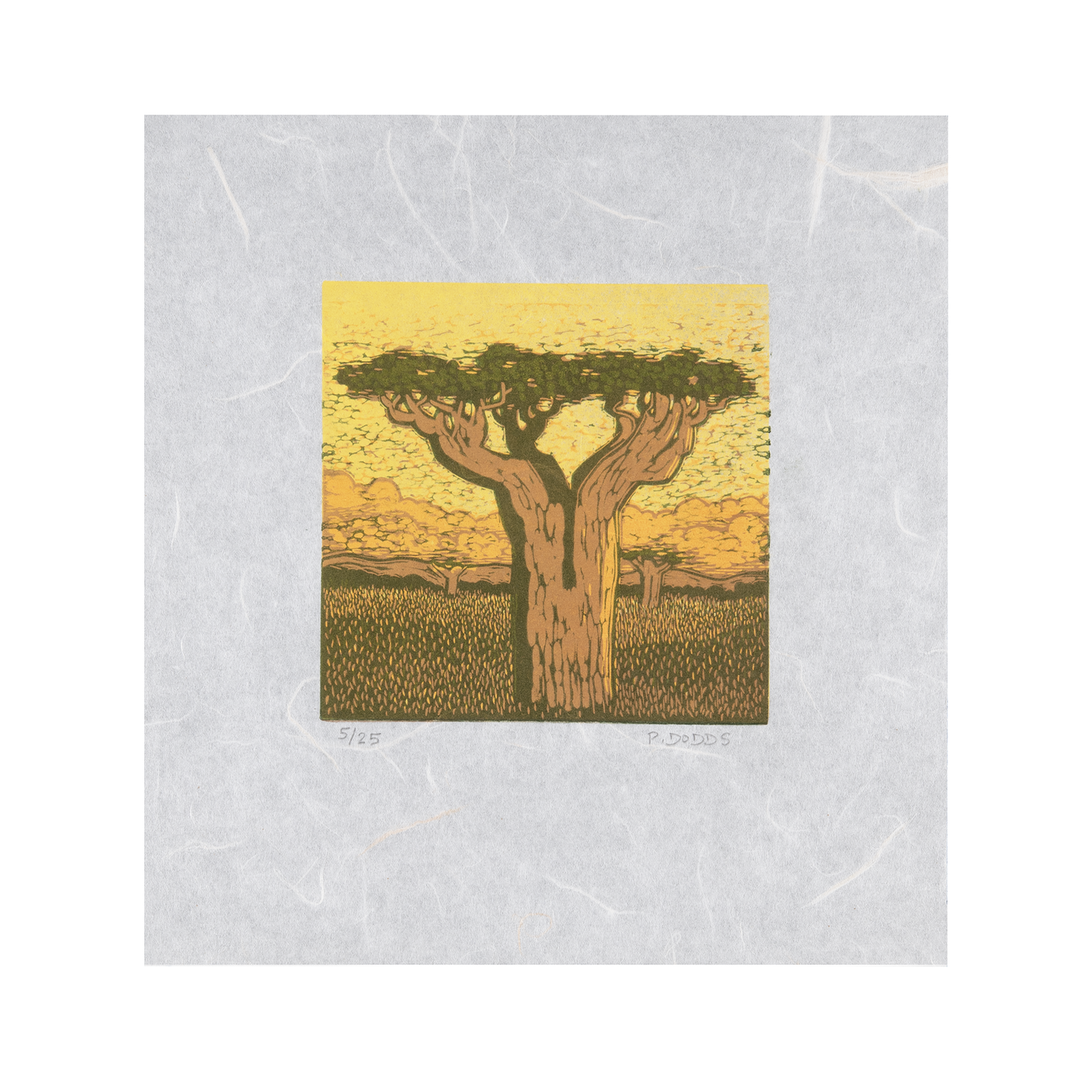 Pamela Dodds - Baobab Tree