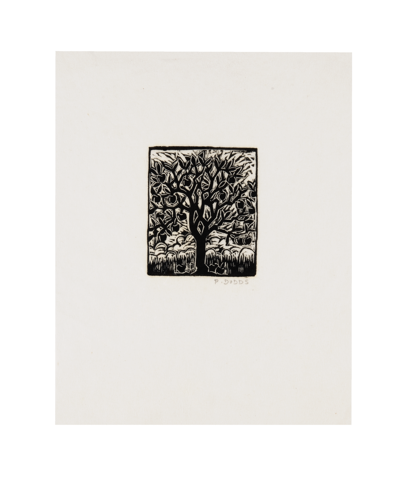 Pamela Dodds, Abundant Tree