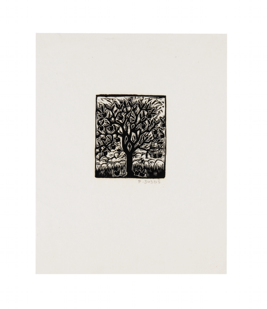 Pamela Dodds, Abundant Tree