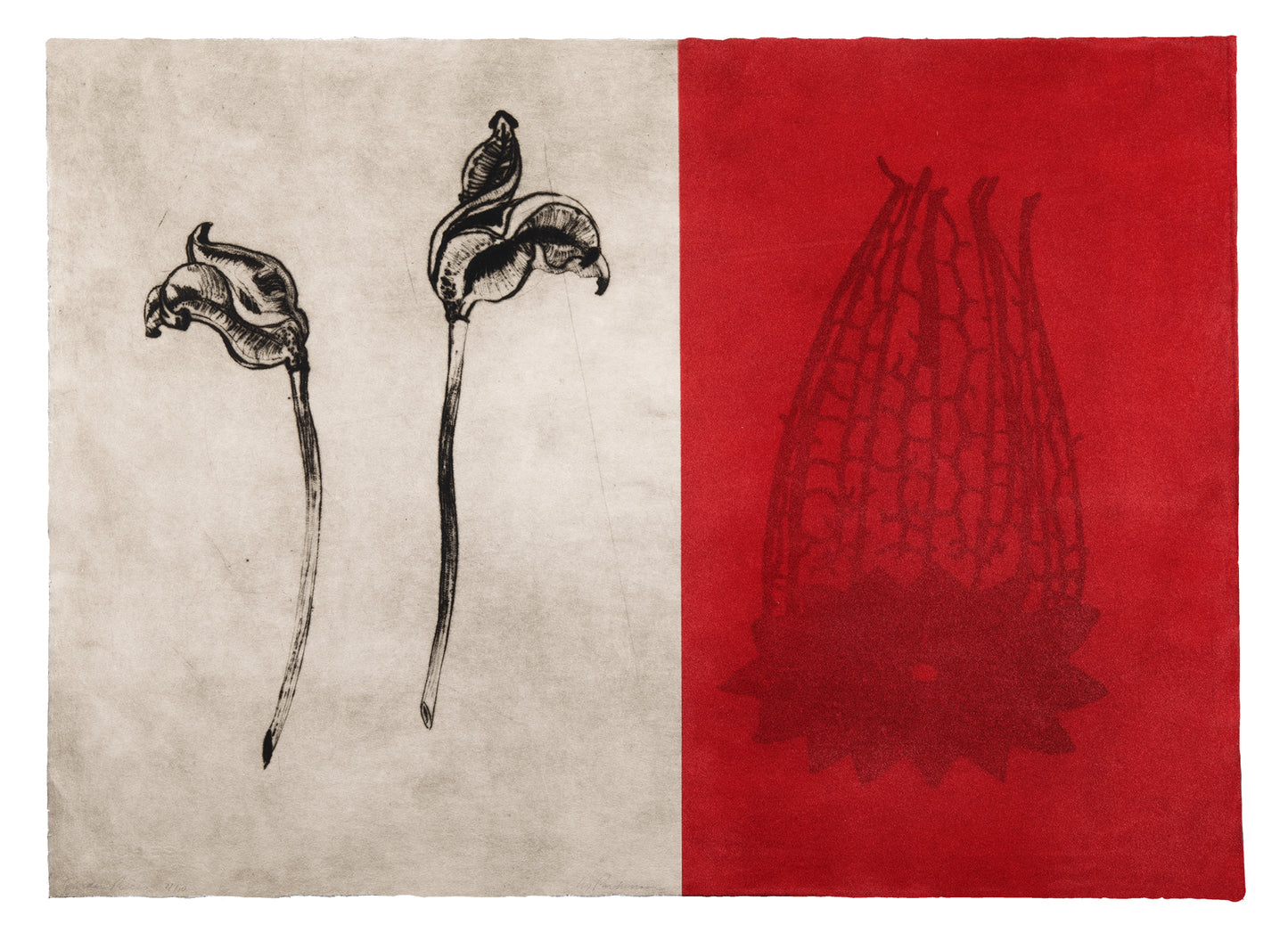 Liz Parkinson, Garden Piece, drypoint, screenprint and flocking