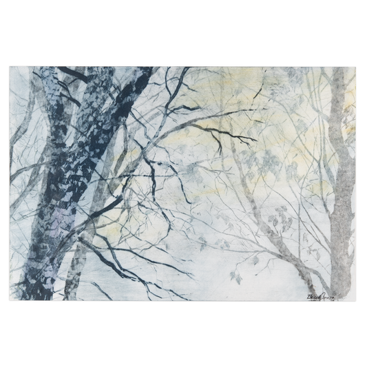 Rebecca Cowan, February Forest, colour drypoint