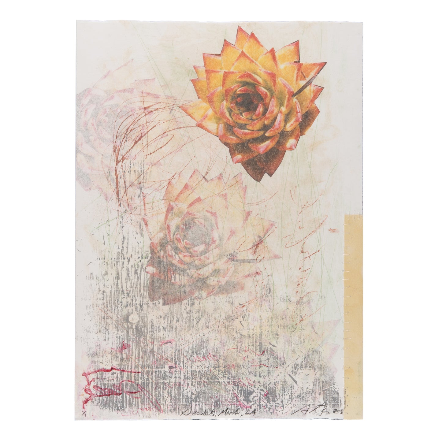 FUTURE PROOF 2025, Anne Abbass, Succulents, March, LA