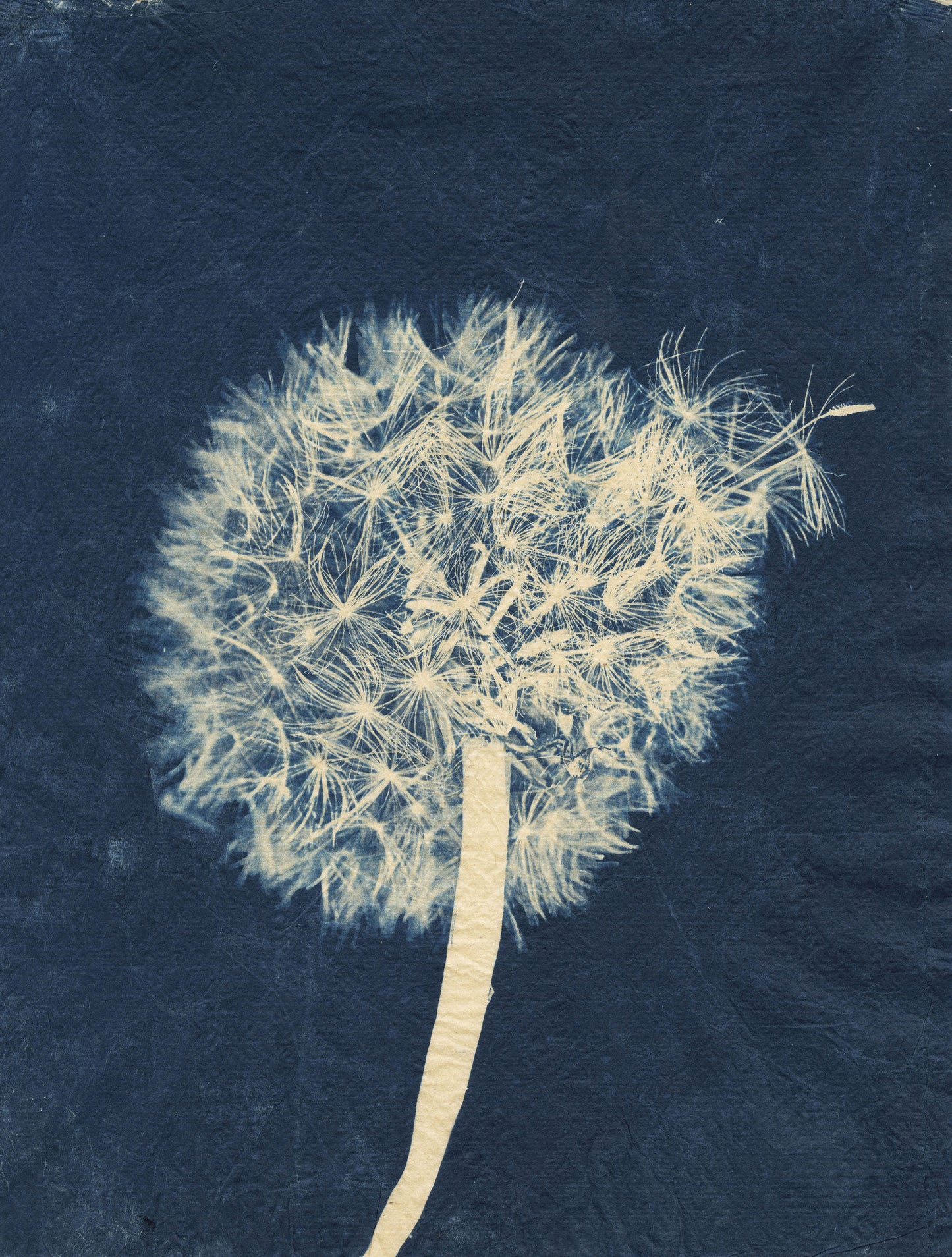 Sally Ayre - Laughter in the Breeze #16