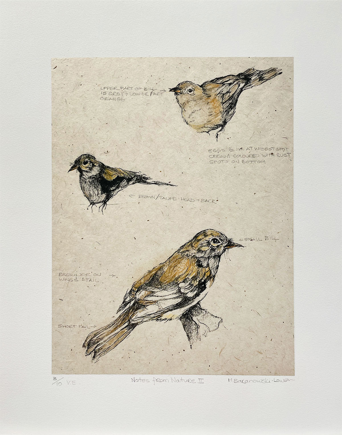 Mary Baranowski-Lowden - Notes from Nature II