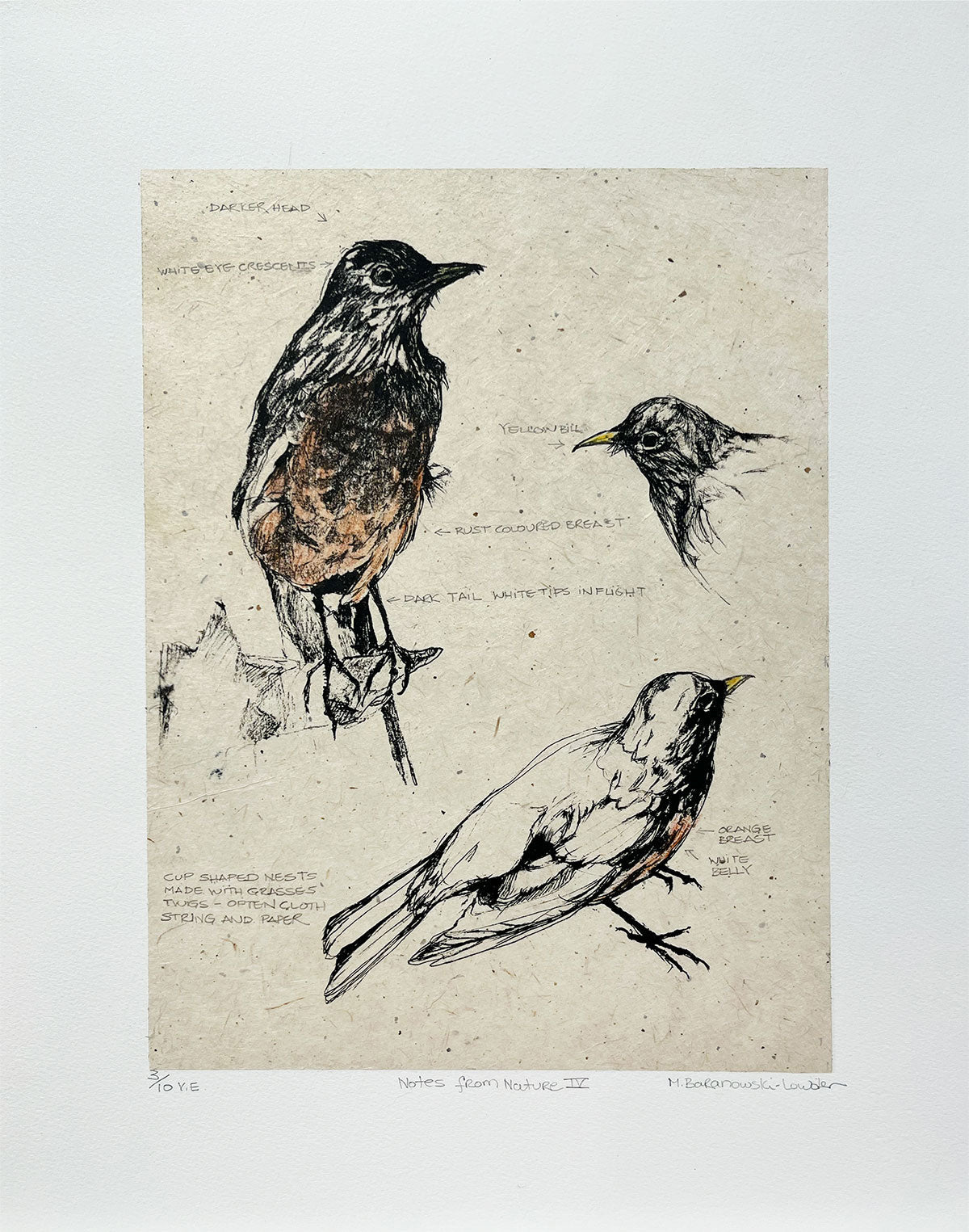 Mary Baranowski-Lowden - Notes from Nature IV