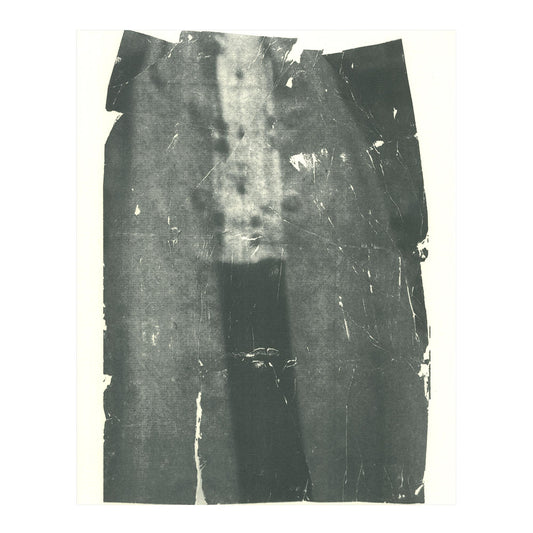 Sandra Brewster, A Detail of Feeding Trafalgar, screenprint