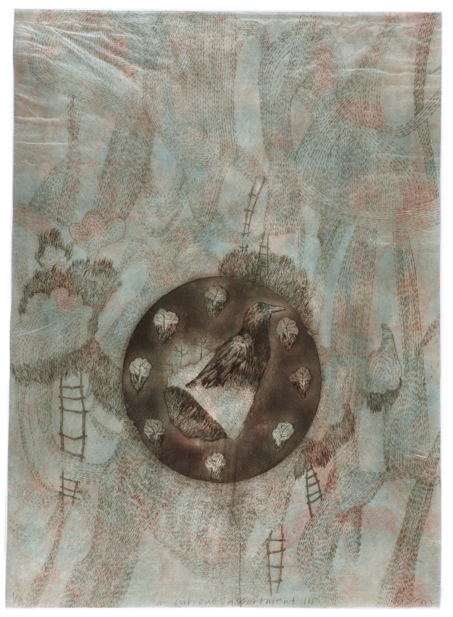 Elizabeth D'Agostino - A Curious Assortment III