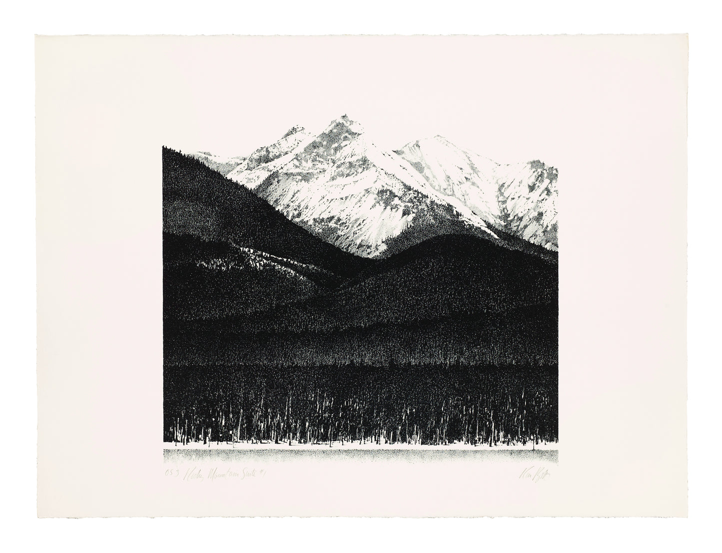 Ron Bolt - Rocky Mountain Suite #1