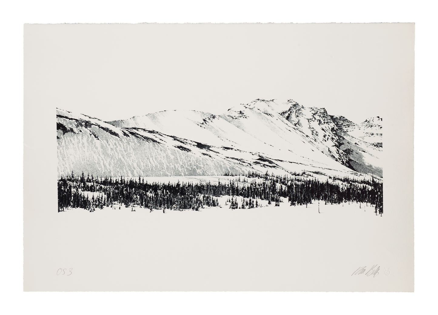 Ron Bolt, Rocky Mountain Suite #4