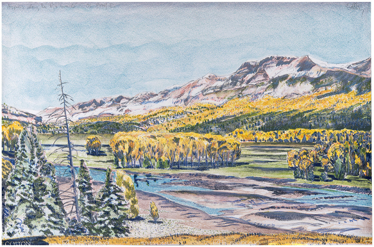 Brian Kelley - Aspens along the Rio Grande