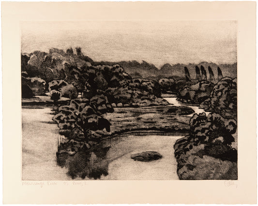 Brian Kelley - Mississauga River