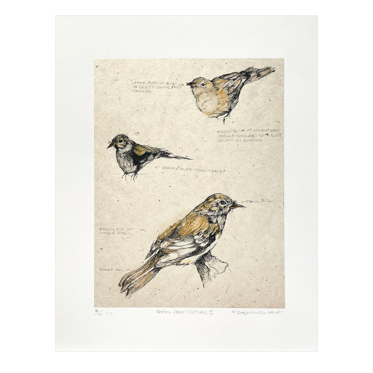 Mary Baranowski-Lowden, Notes from Nature II