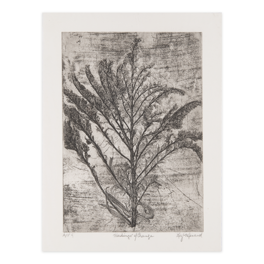 Liz Menard, Harbinger of Change, etching
