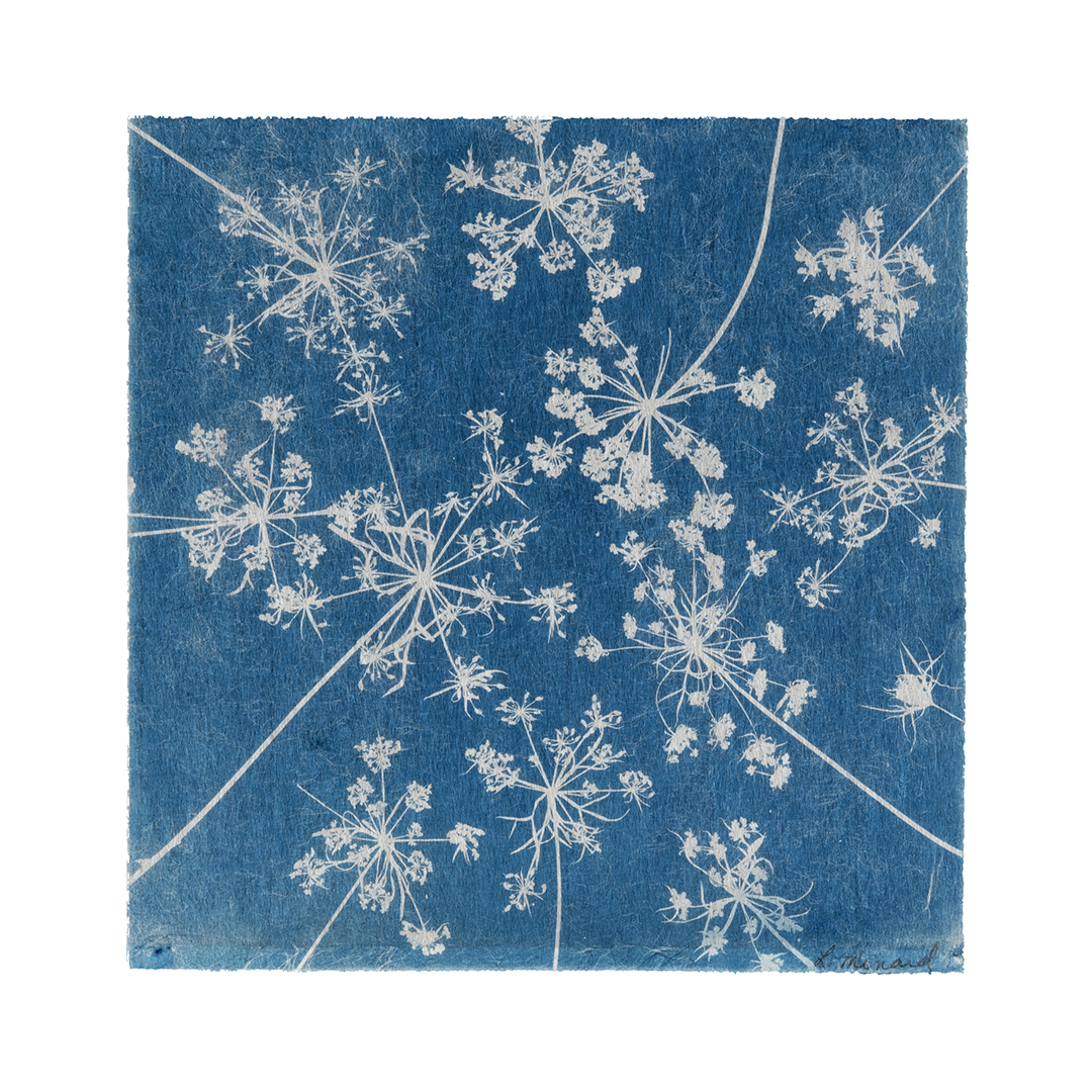 Liz Menard - Summer Snowflakes 2