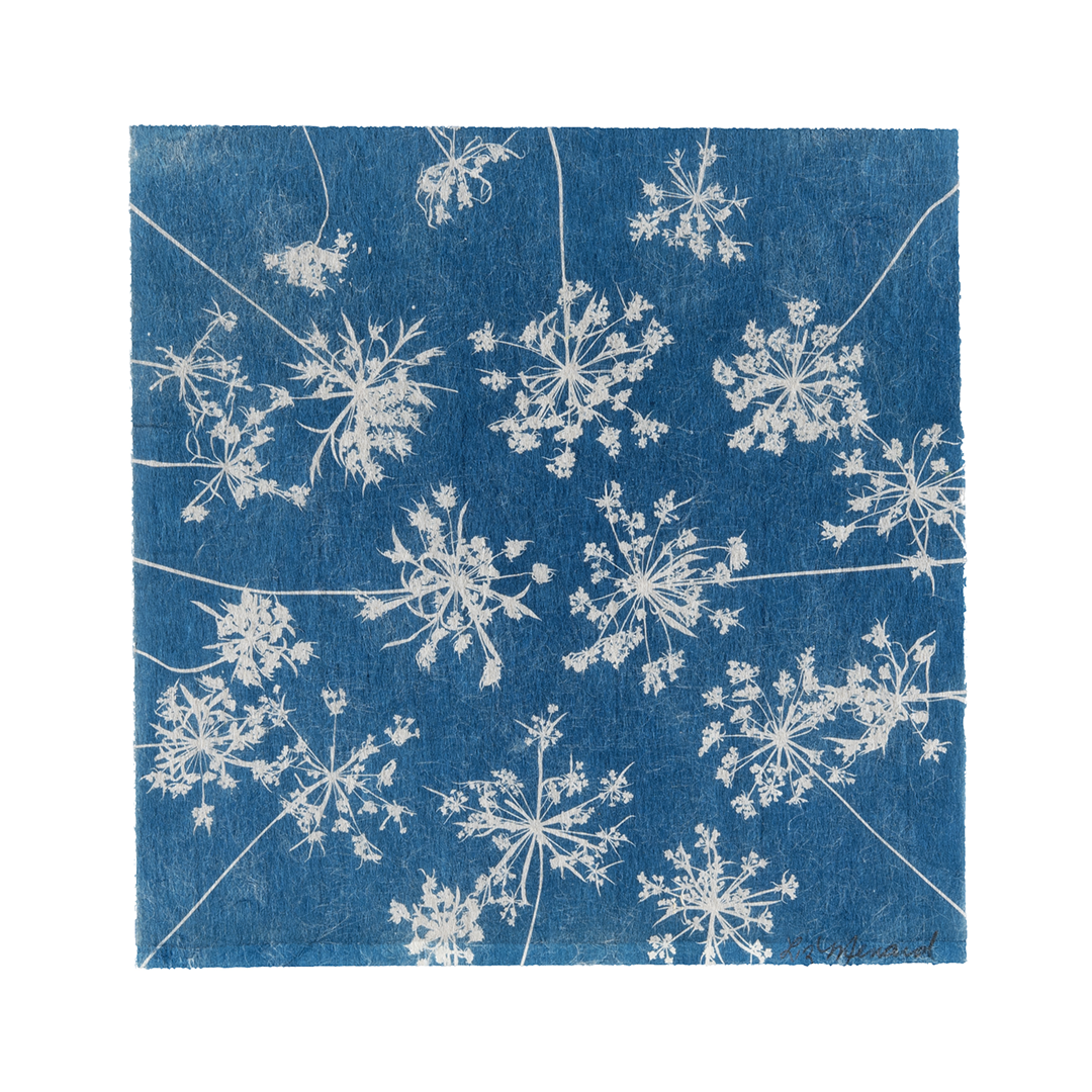 Liz Menard - Summer Snowflakes 3