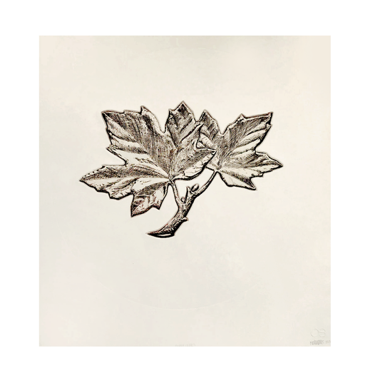 Micah Adams, Penny Leaves