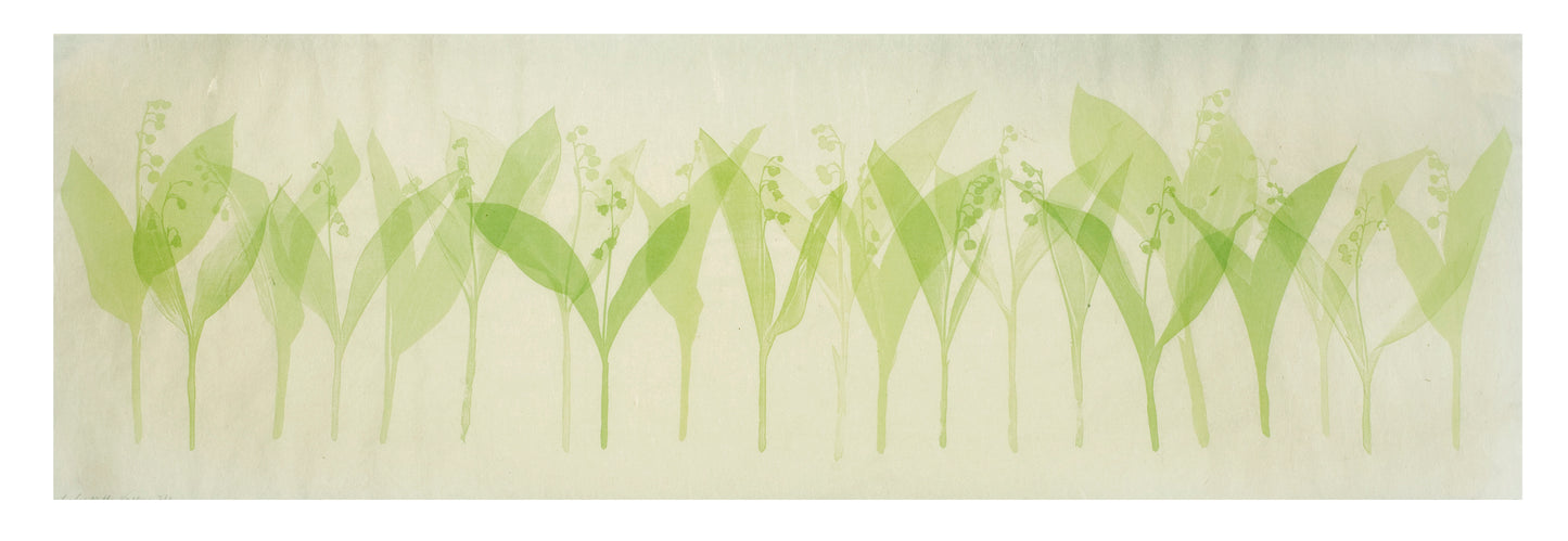 Sally Ayre, 'Lily of the Valley', screenprint on washi (Japanese paper) with hand stitching, 2010, edition of 3