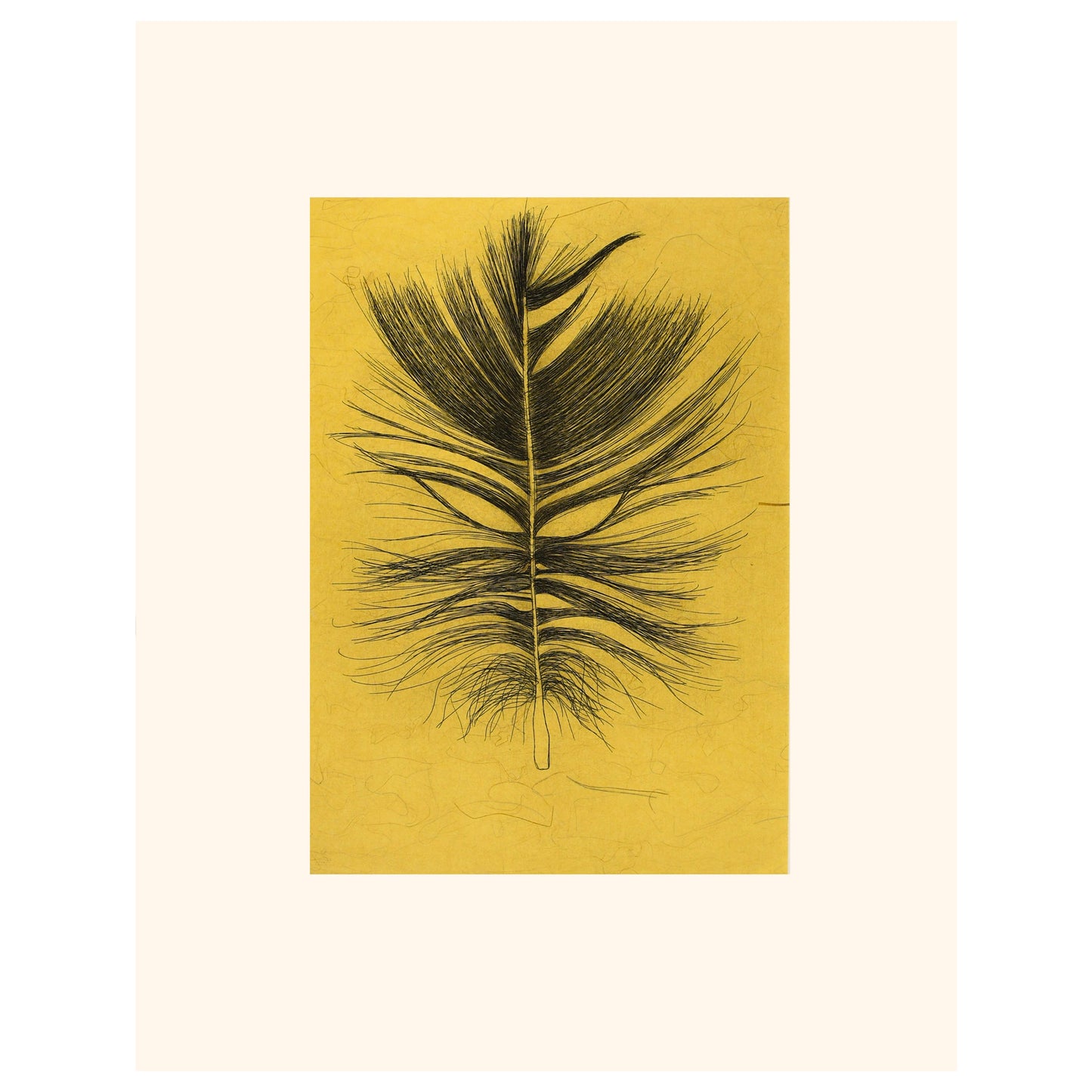 Padloo Samayualie - Feather