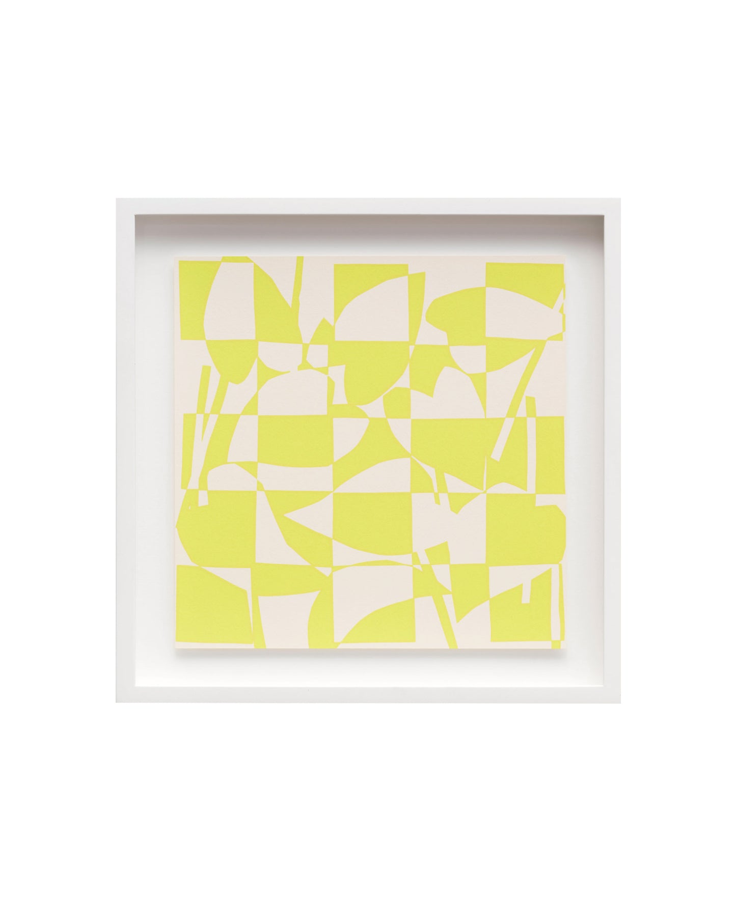 Shogo Okada - Neon Pothos