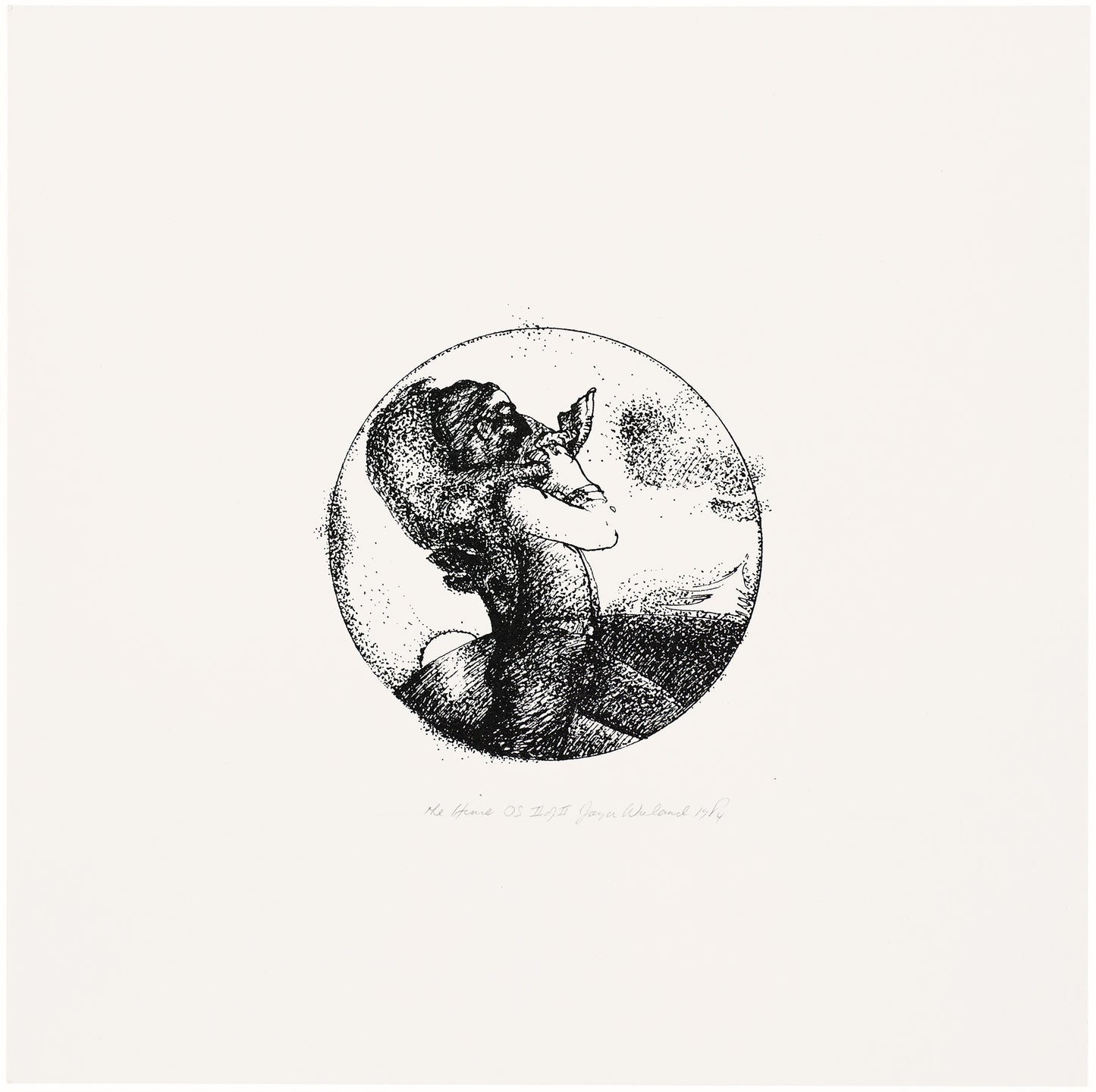 Joyce Wieland - The Hind