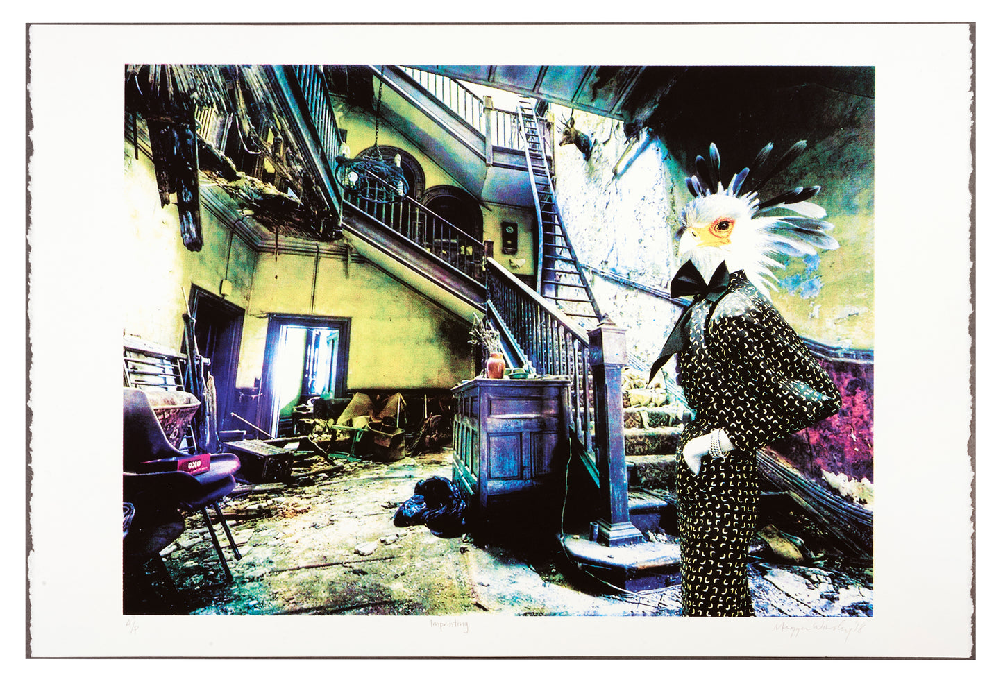 Meggan Winsley, Imprinting, 2018, screenprint, edition: A/P (Artist Proof), paper size: 22” x 15”