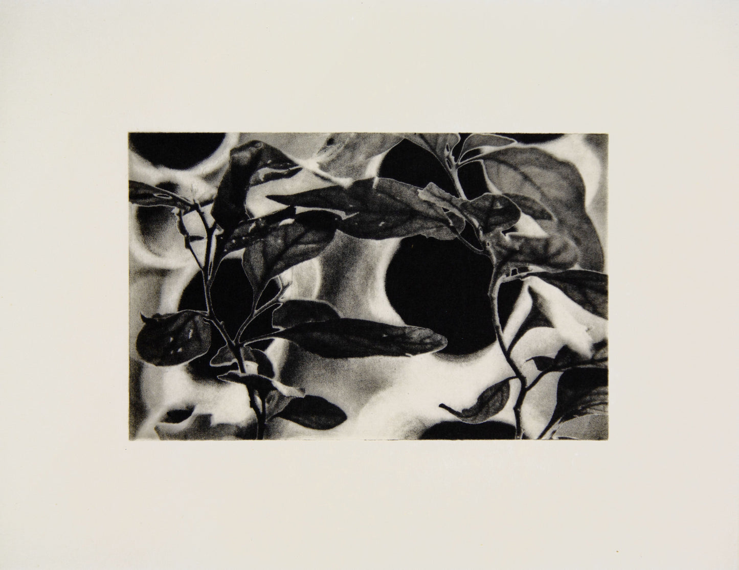 Spring 2025 Photopolymer Gravure (2 Saturdays)