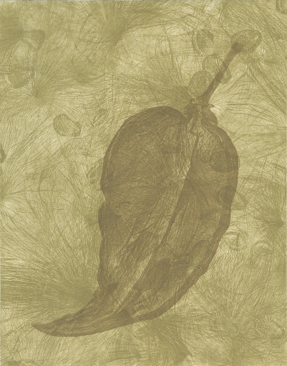 Sally Ayre - Shift #10 (Milkweed)