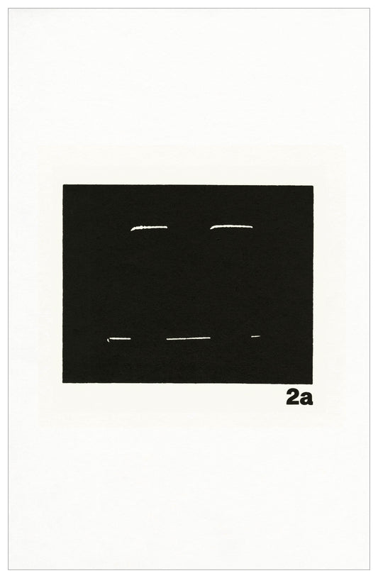 Micah Lexier - The Oscilloscope Drawings (2a)