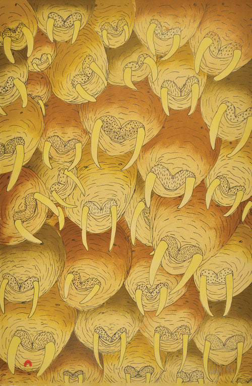 Shuvinai Ashoona - Walruses