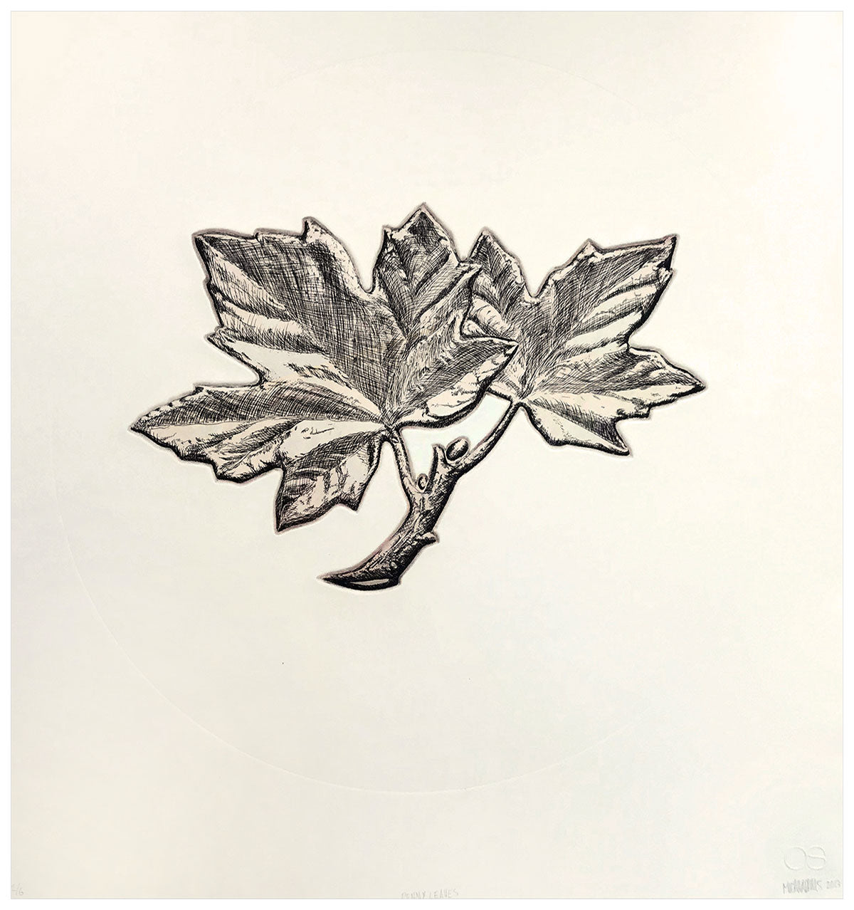 Micah Adams - Penny Leaves