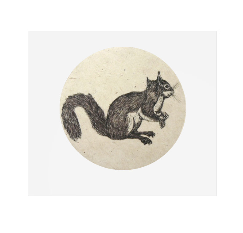 Mary Baranowski-Lowden, Squirrel