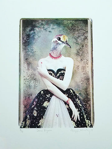 Meggan Winsley - Dame Pigeon