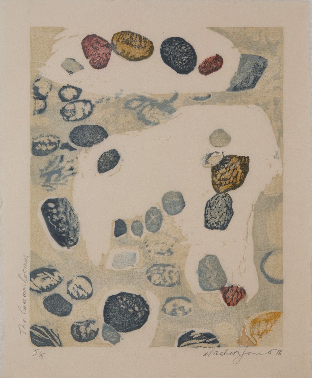 Elizabeth Forrest - The Common Cosmos
