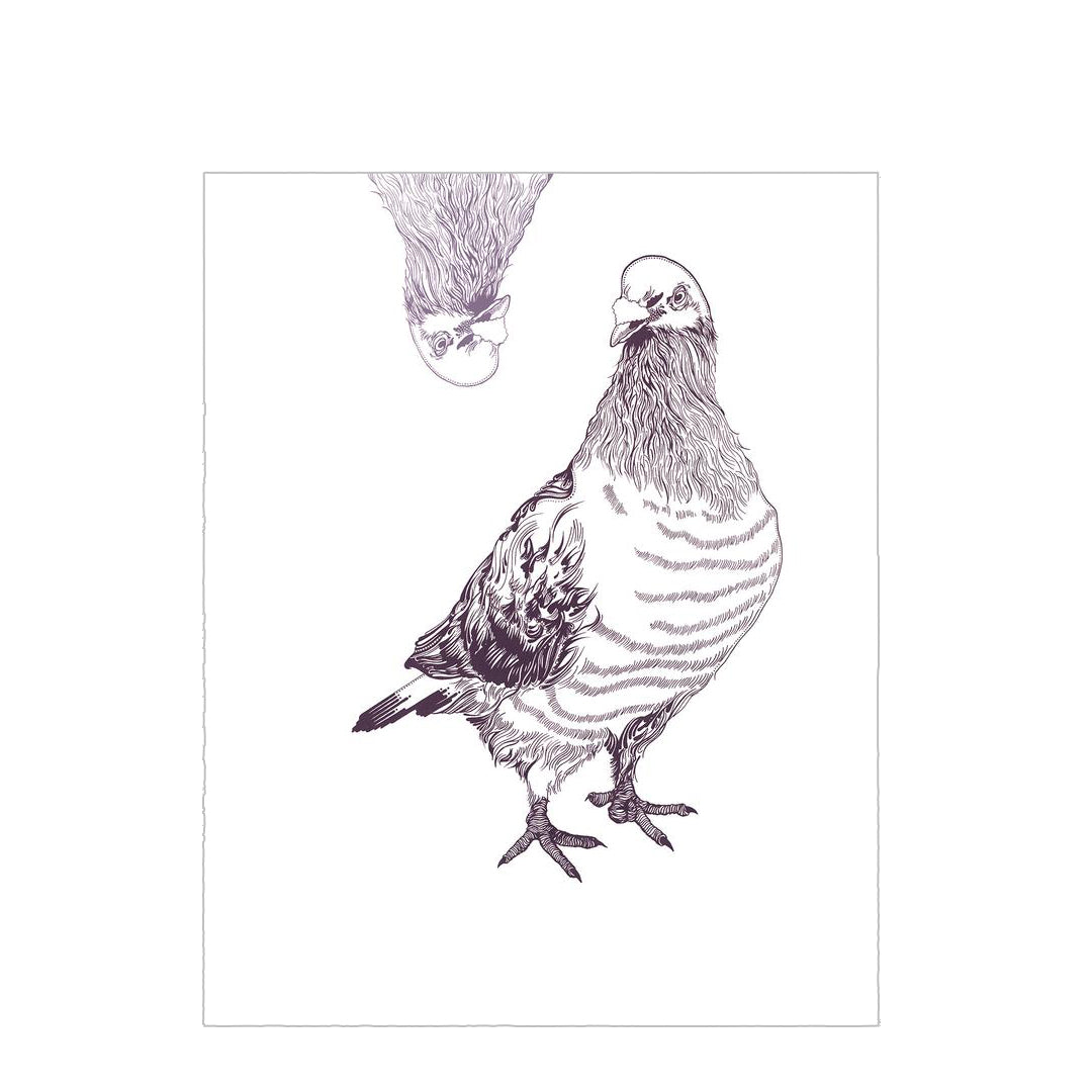 Arwen Giel - Pigeon I