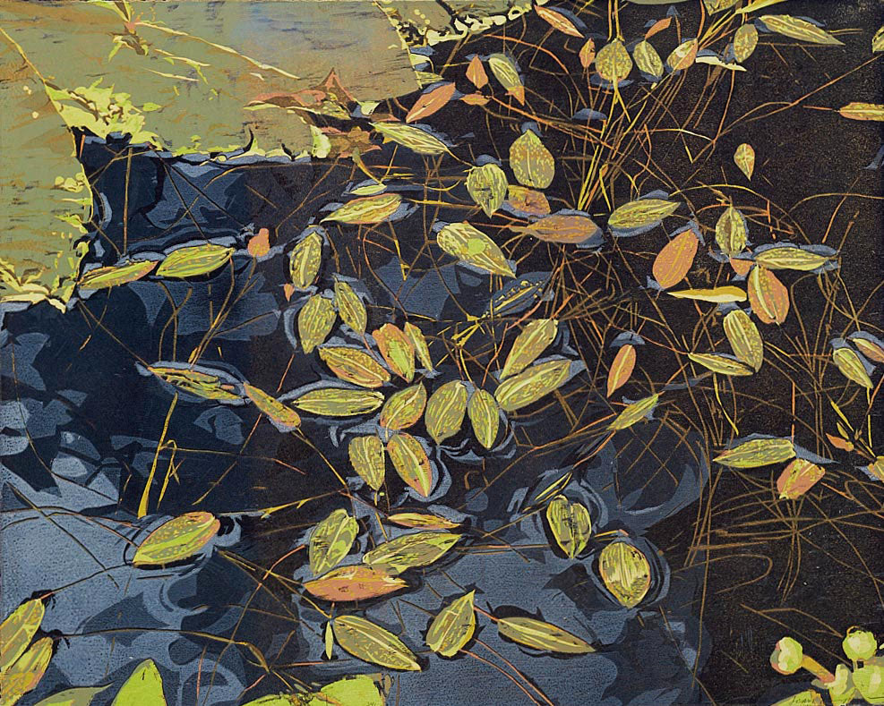 Jean Gumpper - Surface Tension