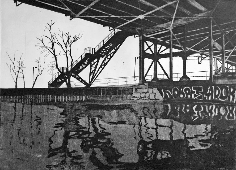 Liz Menard - Lower Don River Queen Street Footbridge