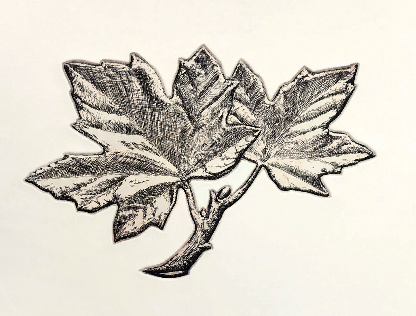 Micah Adams - Penny Leaves