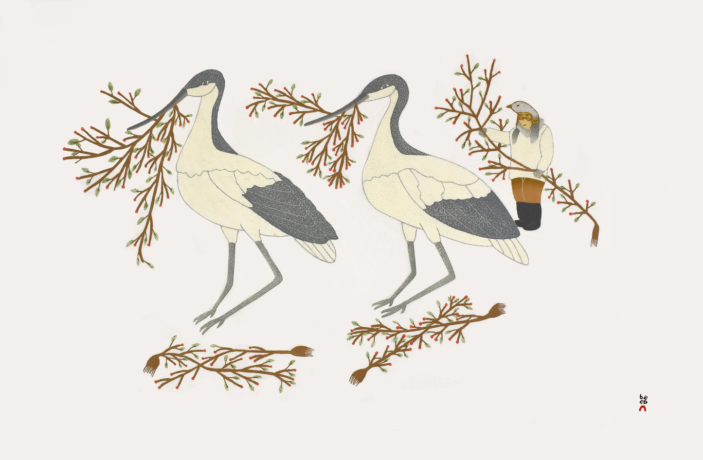 Qavavau Manumie - Collecting Berries