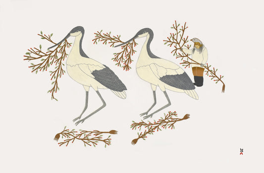 Qavavau Manumie - Collecting Berries