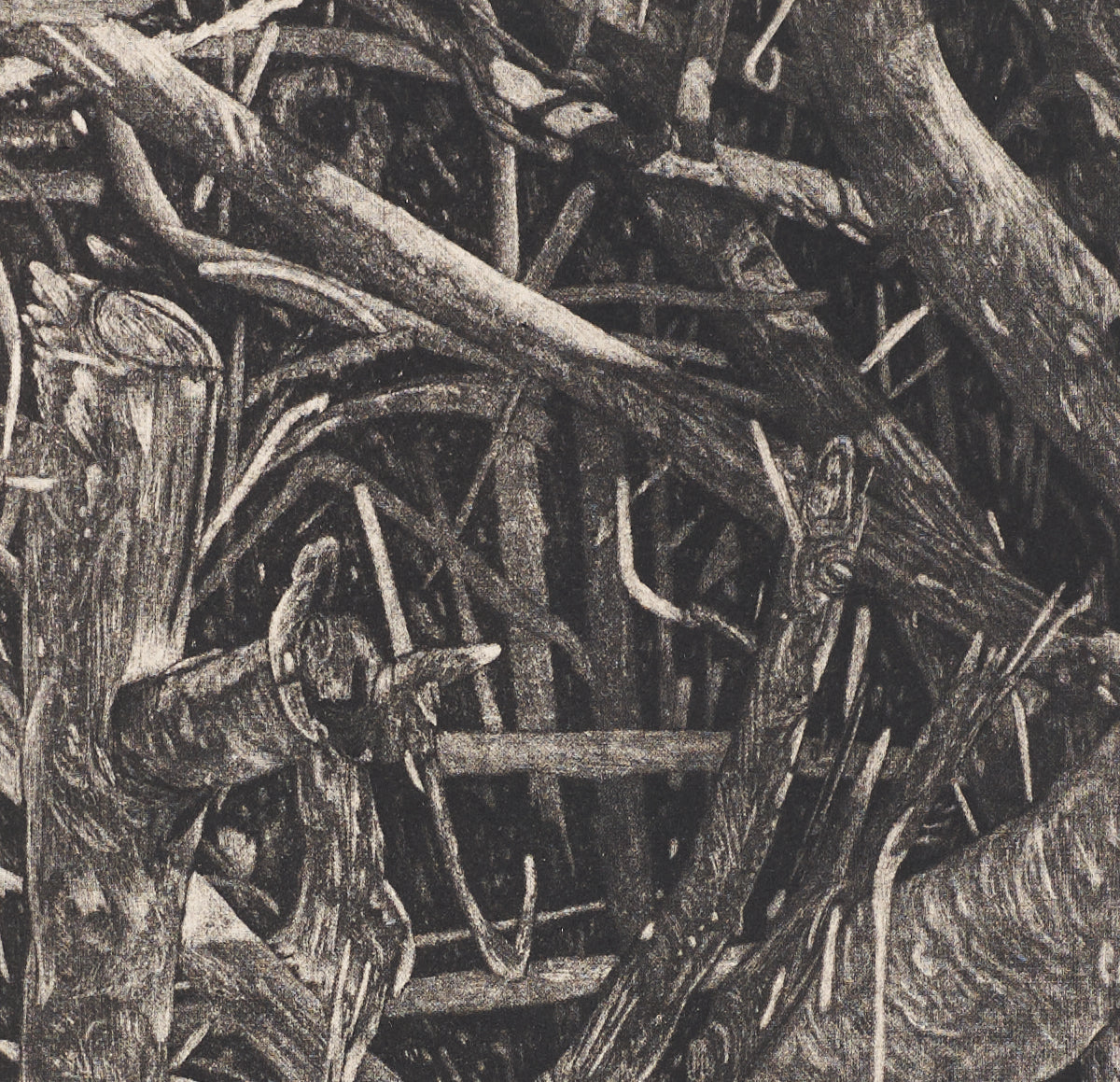 FUTURE PROOF 2025, Andrew McKay, Entanglement
