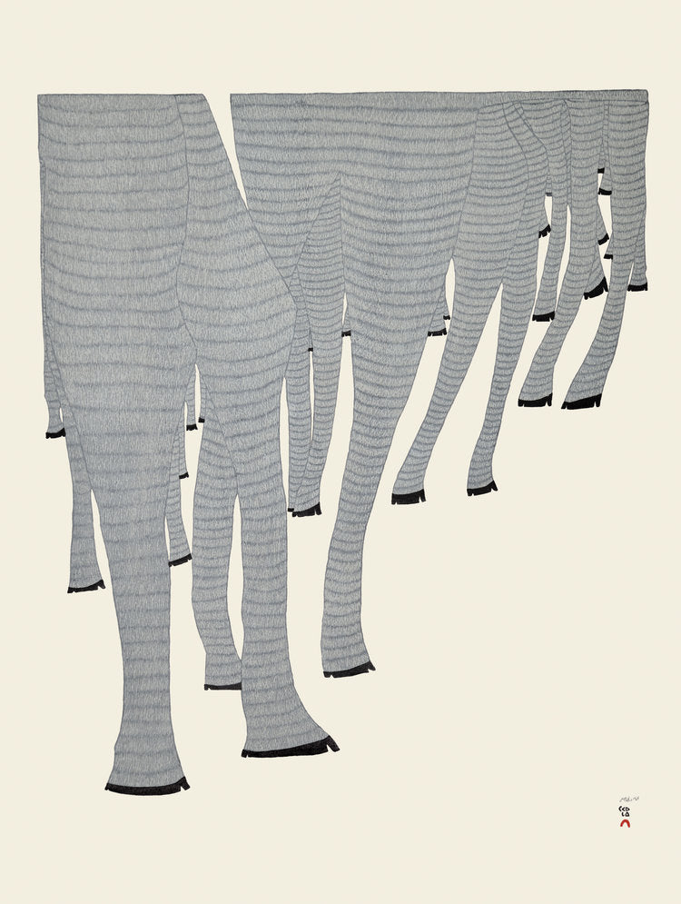 Ningiukulu Teevee - Caribou Legs