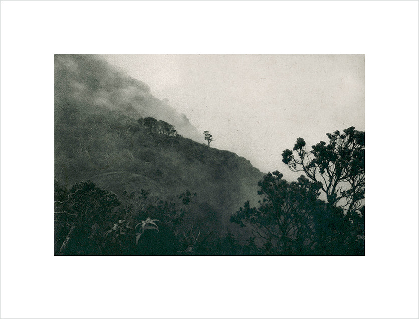 Emma Nishimura - Kalalau Lookout