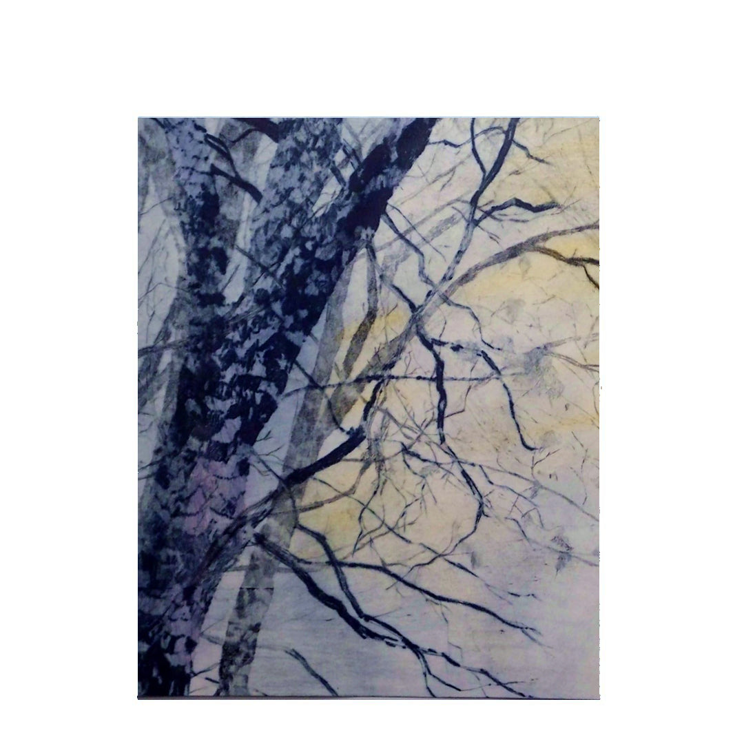 Rebecca Cowan - February Forest